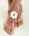 /album/foto-dei-corsi/manicure-pedicure-jpg/
